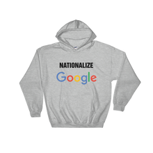 Nationalize Google Hoodie